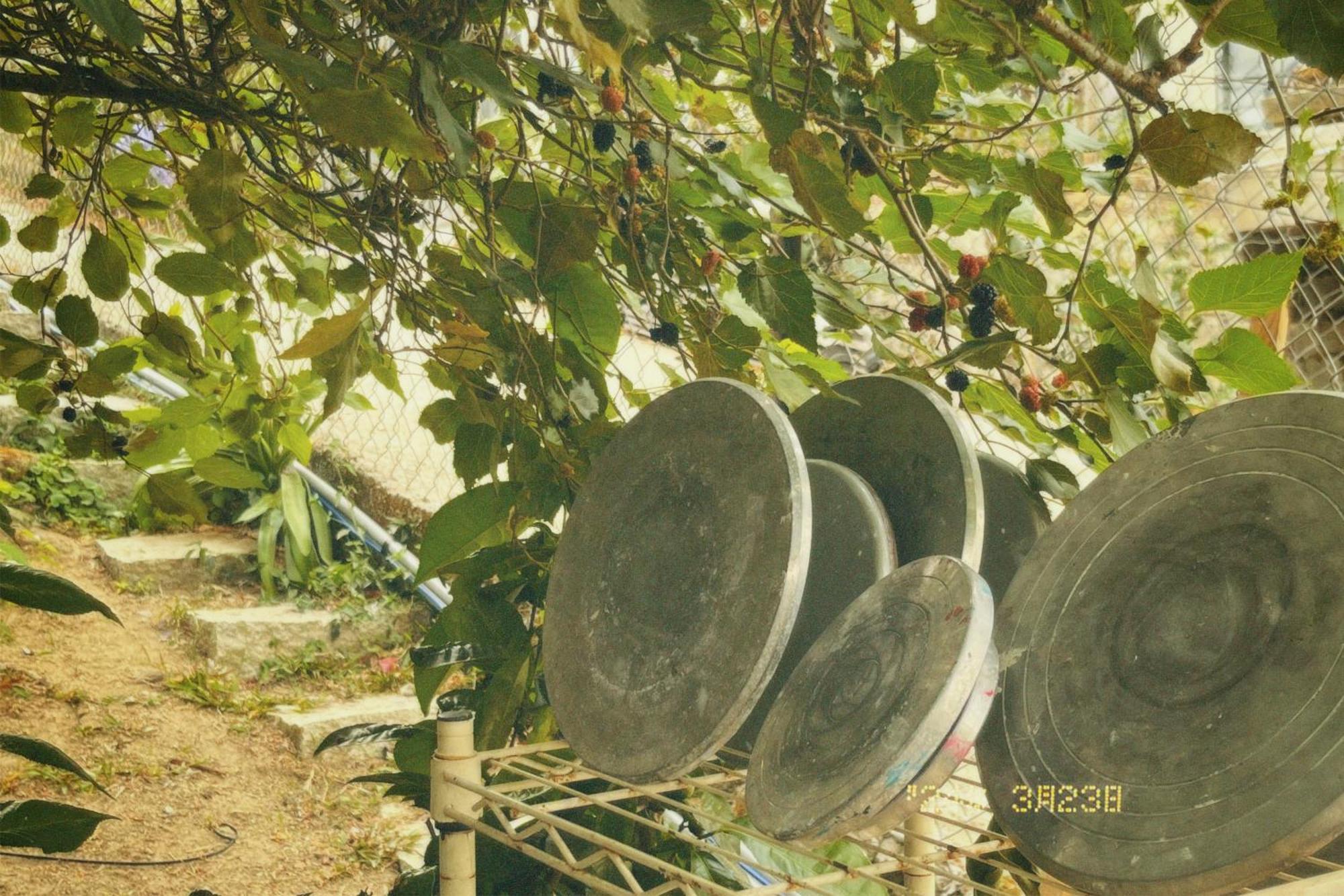 Nap O Teepee Homestay Da Lat Exterior foto