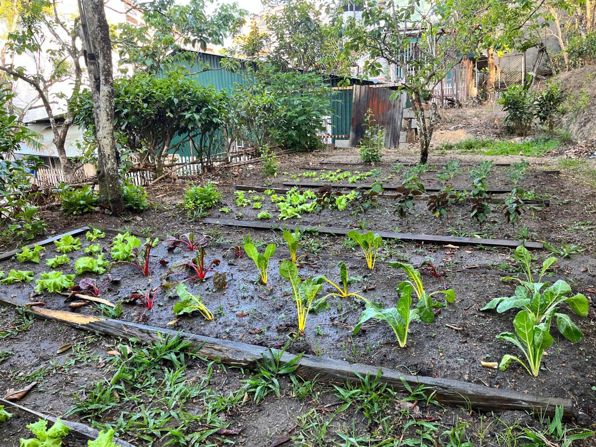 Nap O Teepee Homestay Da Lat Exterior foto